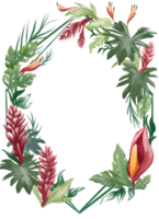 Tropical flower and plant border and frame illustration png