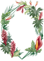 tropical flor e plantar fronteira e quadro, Armação ilustração png