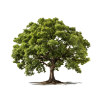 AI generated Green tree, Green tree png