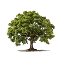 ai generato verde albero, verde albero png