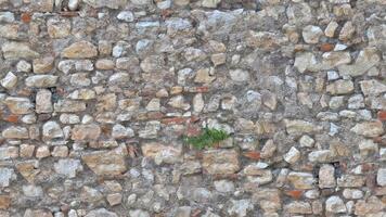 realista mármol y granito textura con real las venas para cerámica arquitectura y anuncio agencia foto