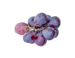 Top view of small bunch of red grapes fruits isolated on white background with clipping path photo