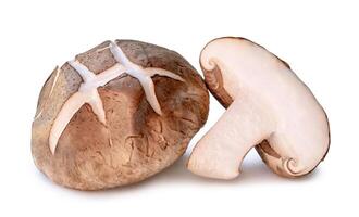 Front view of fresh and dry shiitake mushroom with half in stack isolated on white background with clipping path. Japanese and Chinese herb photo