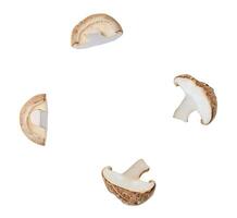 Top view set of shiitake mushroom halves or slices isolated on white background with clipping path photo