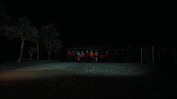 Group of people in Halloween costumes posing at night. video