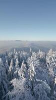 aereo Visualizza di il inverno paesaggio di un' nevoso montagna foresta video