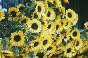 Lots of yellow sunflower flowers. Decorative decoration of the entrance with artificial flowers. photo