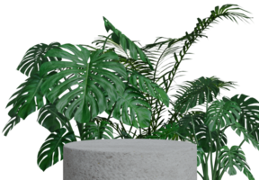 Marble podium decorated with plants png