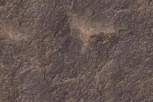 rough rock texture background vector