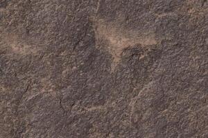 rough rock texture background vector