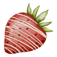 Watercolor style drawing of strawberries with white chocolate. png
