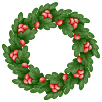 vrolijk Kerstmis met BES krans waterverf. Kerstmis krans winter bloemen png