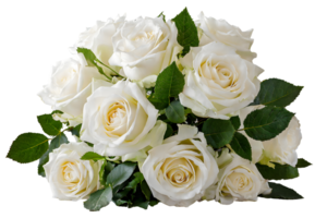 épanouissement de mariée bouquet blanc Rose fleurs png