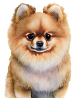 ai gerado aguarela e pintura fofa pomerânia spitz cachorro cachorro png