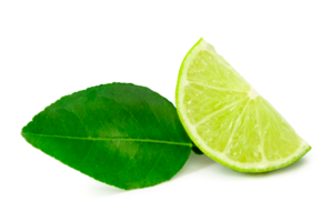 Front view of green lemon slice or quarter with leaf isolated with clipping path and shadow in png file format