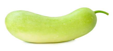 Front view or side view of Chinese wax gourd or white gourd isolated with clipping path and shadow in png file format