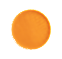 Top view of hot orange or yellow condensed milk tea isolated with clipping path in png file format