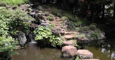 en japansk trädgård damm på tonogayato trädgård i sommar solig dag video