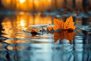 AI generated Autumn leaves on water surface with sun rays and bokeh. photo