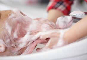 peluquería manos Lavado el clientela rosado pelo con espuma champú a el Barbero tienda. alto calidad foto