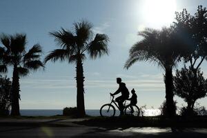 silhouette of a man with a child on a bicycle rides along the promenade under palm trees at sunset. High quality photo