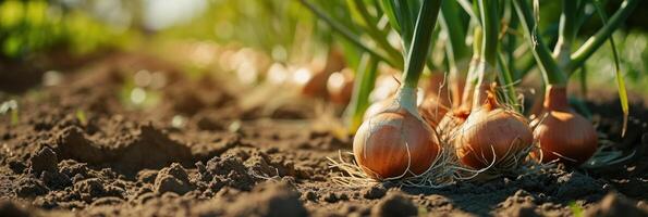 AI Generated onions grow in a garden in a field photo