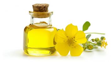 AI generated Bottle of golden essential oil with blooming yellow flowers. photo