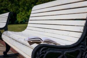 An open book lies on a bench on a sunny summer day in the park. Outside, side view High quality photo