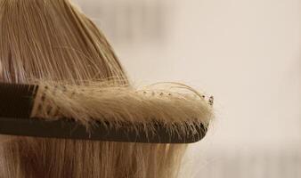 customer's hair strand on a black hairdresser comb. selective focus.High quality photo