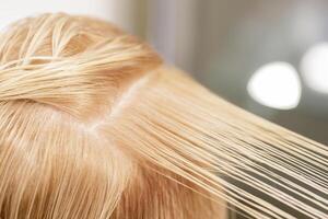 Hair on the head of the model is divided neatly into areas for haircut and dyeing. selective focus photo