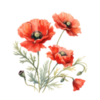 AI generated Watercolor poppies botanical illustration for greetings card. png