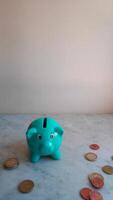 Feeding the piggy bank with euro coins video