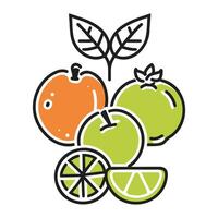 Eco food thin line vector web icon