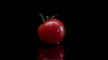 Tomato slow motion closeup falling in water with Splash droplets on black background macro shot cooking video