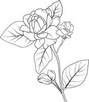 simple flower coloring pages, Coloring pages for adults, hand drawing flower sketch art of jasmine flower, blossom gerdenia flower line art vector illustration