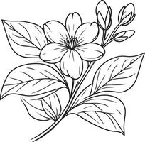 Hand-drawn jasmine flower, jasmine flower bouquet, vector sketch illustration engraved ink art botanical leaf branch collection isolated on white background coloring page and books