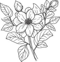 Jasmine flower drawing, vector sketch hand drew illustration artistic, simplicity, coloring pages, printable jasmine flower coloring pages, flower coloring sheet, isolated on white background