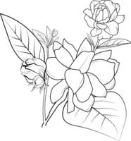 Cute flower coloring pages, jasmine drawing, Hand drawn botanical spring elements bouquet of jasmine flower line art coloring page, easy flower drawing, unique floewr coloring pages vector