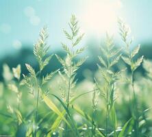 AI generated sun light in the sky behind grass and leaves photo