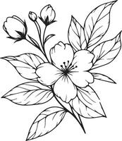 Minimalist outline jasmine flower tattoo, black and white jasmine flower drawing, drawing botanical jasmine flower, scientific jasmine botanical illustration, star jasmine botanical illustration vector