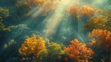 AI generated A lush forest bathed in golden sunlight, casting enchanting shadows on the vibrant foliage below photo