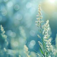 AI generated Abstract minimalistic natural spring background with lots of space for text photo