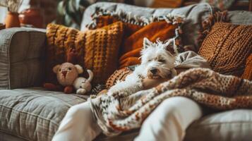 AI generated A person in casual clothes cuddles with their furry friend on a comfy couch, surrounded by pet toys and blankets photo