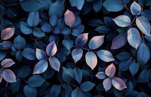 AI generated black and blue leaves on a black background, in the style of light maroon and dark emerald photo