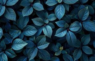 AI generated black and blue leaves on a black background, in the style of light maroon and dark emerald photo