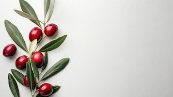 AI generated Minimalistic white background with a branch of olives on the left and free space on the right photo