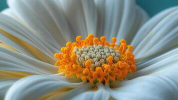 AI generated Striking macro shot of a delicate flower in full bloom, showcasing intricate details photo