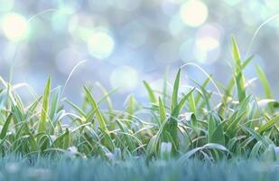 AI generated green grass over blue bokeh background photo