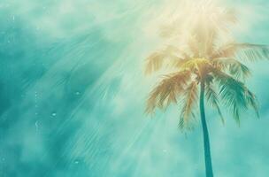 AI generated palm tree and beach background photo