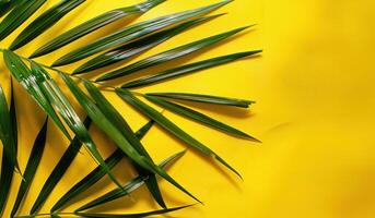 AI generated fresh palm leaves on a yellow background photo